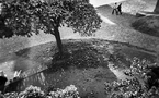 Nos Vies Passantes, par Rémi Lagoin Nos Vies Passantes, par Rémi Lagoin