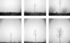 Reborn • Cyril Ruatta