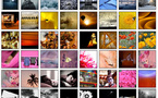 Concours CMJN • Les 100 premières photos