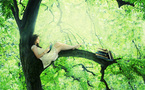 Concours photo "Bienvenue chez moi"