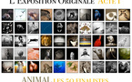 Les 50 finalistes de l'Acte I de L'Exposition Originale Les 50 finalistes de l'Acte I de L'Exposition Originale