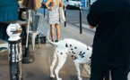 © Fabien Écochard