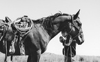 Shit, shower, and shave • acte 6 : Les ranchers du Wyoming • La série photographique racontée par Alain Licari