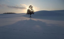 Palliez les contraintes de la lumière ! Palliez les contraintes de la lumière !