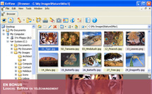 Téléchargez XnView pour PC et Mac