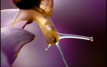 Attendez moi ! • Eric Costa-Baccani Attendez moi ! • Eric Costa-Baccani