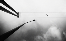 La portée • Frédéric Ségard La portée • Frédéric Ségard