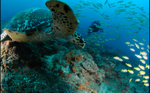 Amour • Jérôme Clabe Amour • Jérôme Clabe