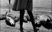 En sortir vivant • Dominique Combarnous En sortir vivant • Dominique Combarnous