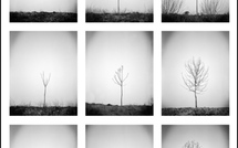 Reborn • Cyril Ruatta Reborn • Cyril Ruatta