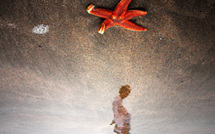 Ma bonne Etoile • Olivia de Soares Ma bonne Etoile • Olivia de Soares