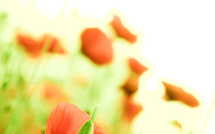 A l'aube du huitième jour • Christian Couret A l'aube du huitième jour • Christian Couret