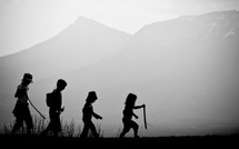 Evolution • Nadine Court Evolution • Nadine Court