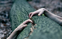 Déchirure • Vincent Bourrelly Déchirure • Vincent Bourrelly