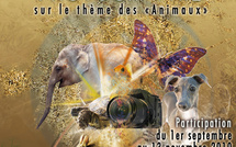 Concours Skyprods 2010 : les animaux à l'honneur