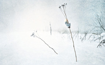 M_LunE • Benjamin Nauleau (série) M_LunE • Benjamin Nauleau (série)