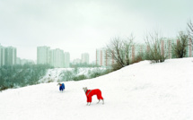 Le Festival Photo La Gacilly expose le grand froid venu de l'Est