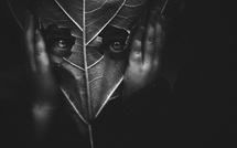 Petit lutin • Jorris Martinez Petit lutin • Jorris Martinez