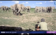 Voyage au coeur de la savane avec le couple Denis-Huot