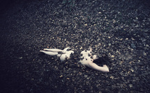 In leaves • Pauline Greefhorst In leaves • Pauline Greefhorst