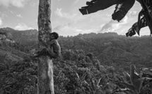 Les Palawan ou l'éloge de la diversité selon le photographe Pierre de Vallombreuse