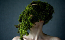 Les Irréelles #2 • Les rencontres et expositions photographiques de Compétence Photo sont à Nantes le 10 février 2012 Les Irréelles #2 • Les rencontres et expositions photographiques de Compétence Photo sont à Nantes le 10 février 2012