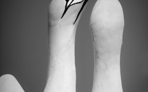 Amour fou • François Constantin Amour fou • François Constantin