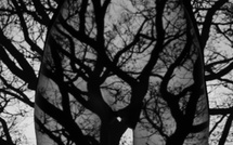 L'essence • Sandra Fastré L'essence • Sandra Fastré