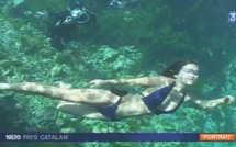 Plongée avec Philippe Marquès dans la photographie sous-marine