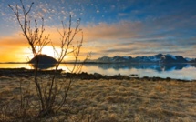 La magie de l'Arctique révélée par Terje Sørgjerd La magie de l'Arctique révélée par Terje Sørgjerd