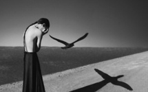 Escape from reality • Noell S. Oszvald (série)