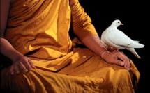 Le Studio Olivier Föllmi lève le voile sur son nouveau site web Le Studio Olivier Föllmi lève le voile sur son nouveau site web