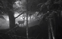 Les Pyrénées à l'honneur du 8e numéro de la revue L'Autre Les Pyrénées à l'honneur du 8e numéro de la revue L'Autre