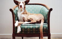 Salvados • Mathias de Lattre (series) Salvados • Mathias de Lattre (series)