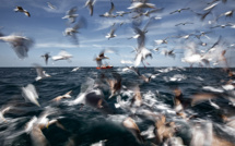 Vos photos FACE À LA MER commentées : la sélection de la rédaction Vos photos FACE À LA MER commentées : la sélection de la rédaction