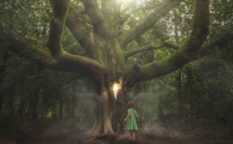 Vos photos de RÊVE commentées : la sélection de la rédaction Vos photos de RÊVE commentées : la sélection de la rédaction