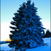 20110329092511_cyan.jpg 20110329092511_cyan.jpg