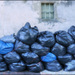 20110329202423_poubleues.jpg 20110329202423_poubleues.jpg