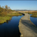 20110328212928_05__suivre_son_chemin.jpg 20110328212928_05__suivre_son_chemin.jpg