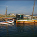 20110328212928_les_oranges_bleues.jpg 20110328212928_les_oranges_bleues.jpg