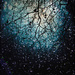 20110329212204_galaxia_londoniana.jpg 20110329212204_galaxia_londoniana.jpg
