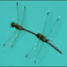 20110329232156_repos.jpg 20110329232156_repos.jpg