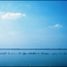 20110330144132_camargue.jpg 20110330144132_camargue.jpg