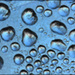 20110330160147_jour_de_gel.jpg 20110330160147_jour_de_gel.jpg