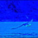 20110330170347__dsc0051.jpg 20110330170347__dsc0051.jpg