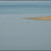 20110330181859_dsc_0055.jpg 20110330181859_dsc_0055.jpg