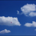 20110330185840_samira_osterop___reve_bleu.jpg 20110330185840_samira_osterop___reve_bleu.jpg