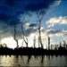 20110330220953_severine_rouiller_strange.jpg 20110330220953_severine_rouiller_strange.jpg