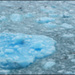 20110330224132_dsc_0225.jpg 20110330224132_dsc_0225.jpg