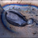 20110330233724_6586_madone_bleue.jpg 20110330233724_6586_madone_bleue.jpg